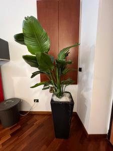 Effealatapartments - Appartamento del Duca