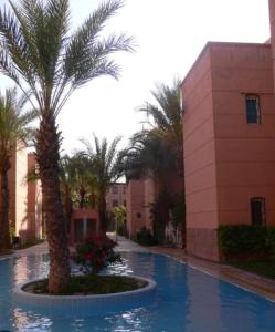 Riad QAYS