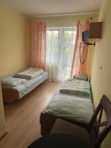 Pokoje Delfin Hostel
