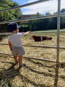 Sejours a la ferme ferme pedagogique des pennetieres : photos des chambres