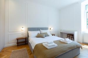 Luxurious Apartment in Zagreb city center