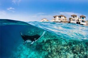 Maamunagau Island, Raa Atoll, 05060, Maldives.