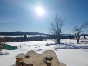 Apartmán Bokova chata - Michlova Huť