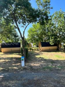 Campings CAMPING ANIMAL KING : photos des chambres