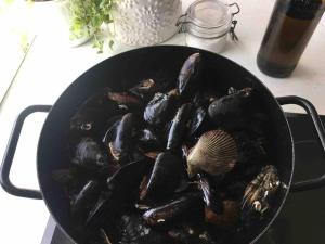 Villa Samica - Kornati