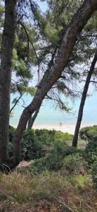 Sunny Seaside Villa-90 m from beach - Kallithea Halkidikis