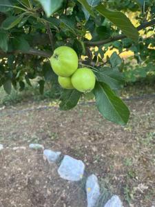 Marbury Heights Skopelos Town Pool Villa Secluded & Stunning