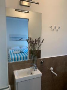 Apartment Studio Salvetti 