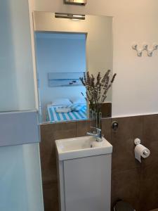 Apartment Studio Salvetti