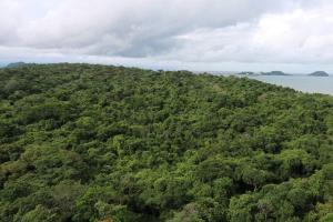 18G Luxury Oceanview with Roof Top Pool