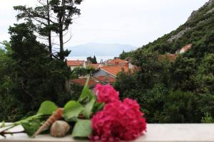 Blossom apartment with amazing view Duba Peljeska