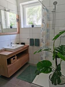 Life Apartman Orfű