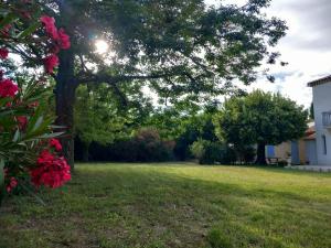 Maisons de vacances Le Petit Mas des Alpilles en Provence : photos des chambres