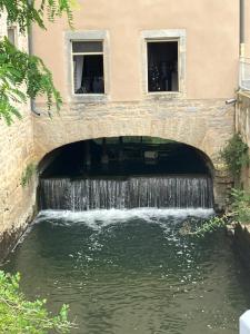 Bateaux-hotels Gisele Peniche 1930 : photos des chambres