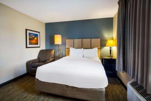Queen Studio Suite room in Sonesta Simply Suites St Louis Earth City