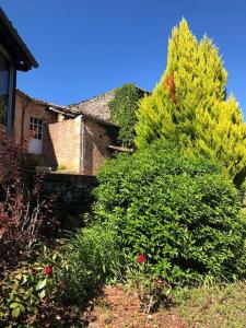 Maisons de vacances « Cammas » maison de charme a la campagne : photos des chambres