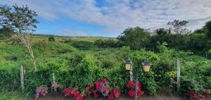 Gravatá sonho de estadia - 928