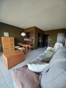 Appartements Appartement 1 chambre offrant une superbe vue : photos des chambres