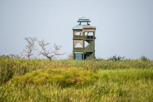 Little Okavango Camp Serengeti, A Tent with a View Safaris