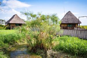 Little Okavango Camp Serengeti, A Tent with a View Safaris