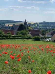 B&B / Chambres d'hotes Chez Bebert - Auxi B&B-Chambre d'hotes : photos des chambres