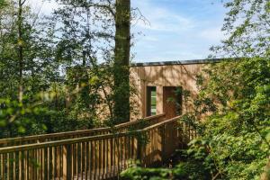 RewildThings Treehouses