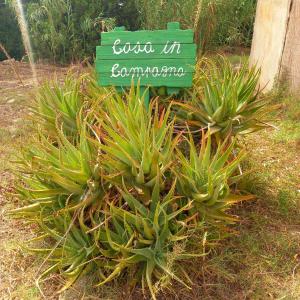 Casa in campagna img30