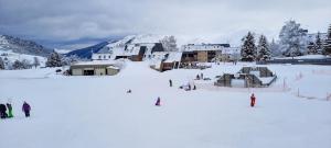 Appartements Vacances face a la montagne : photos des chambres