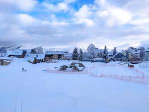 Appartements Vacances face a la montagne : photos des chambres