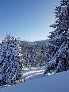 Dom pod Baranią - Wisła - sauna, jacuzzi, tężnia & widok na góry
