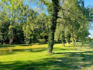 Maisons d'hotes La Forge : photos des chambres