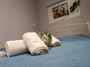 Irenes home