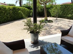 Homing Golf Bonmont 12