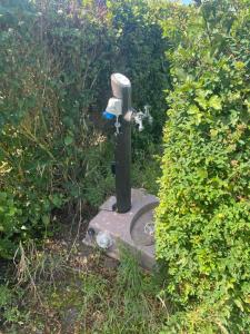 Løkken Klit Camping (Empty Lot)