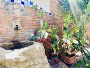 Borgo Camicia In img17