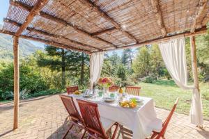 Villa Birdsong, among the Woods in Camaiore