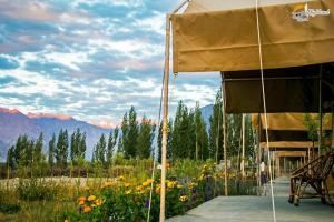 Highland Desert Camp