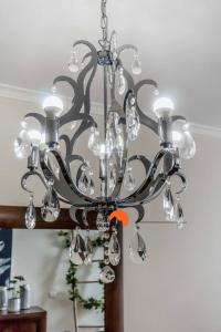 #032 T2 Idalia by Home Holidays