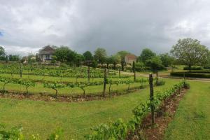 Maisons de vacances Gite a Montvalent, proche Rocamadour, Adult only : photos des chambres