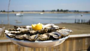 Maisons de vacances Villa Le Chene Vert : photos des chambres