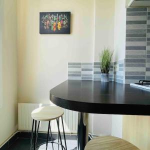 Appartements Charmant T2 tout equipe face a la gare : photos des chambres