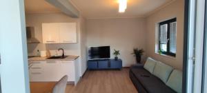 Spacious modern apartment