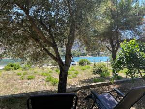 Holiday home Jagoda