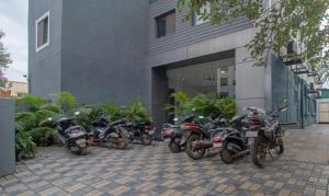 Treebo Tulip Comfort