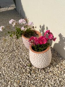 Maisons de vacances Les Gites du Paille : photos des chambres