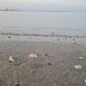 Bateaux Nuit insolite bateau a quai - Port Saint Louis du Rhone : photos des chambres