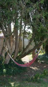 Maisons de vacances Les Marronniers @ Cinq La Voute : photos des chambres