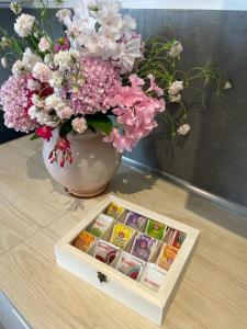 Terre daMare Liguria 1