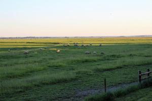 Baie du Mont Saint Michel Gîte de la Vaquerie 23