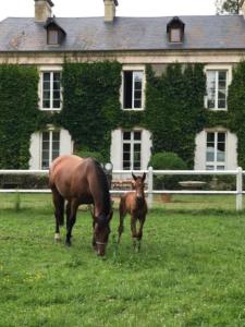 Domaine de Valmeray la roulotte dElise